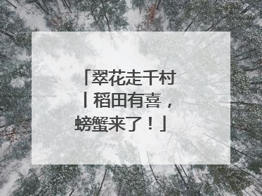 翠花走千村丨稻田有喜，螃蟹来了！