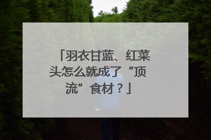 羽衣甘蓝、红菜头怎么就成了“顶流”食材？
