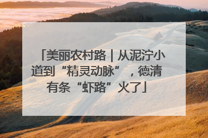 美丽农村路｜从泥泞小道到“精灵动脉”，德清有条“虾路”火了