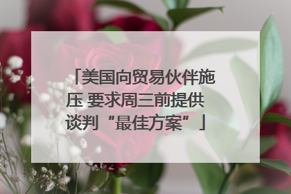 美国向贸易伙伴施压 要求周三前提供谈判“最佳方案”