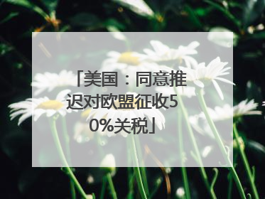 美国：同意推迟对欧盟征收50%关税