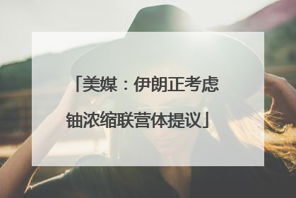 美媒：伊朗正考虑铀浓缩联营体提议