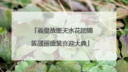 羲皇故里天水花团锦簇靓丽盛装喜迎大典
