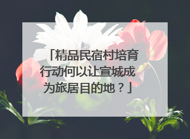 精品民宿村培育行动何以让宣城成为旅居目的地？