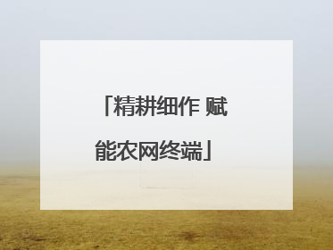 精耕细作 赋能农网终端