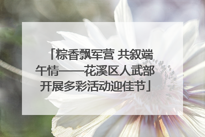 粽香飘军营 共叙端午情——花溪区人武部开展多彩活动迎佳节