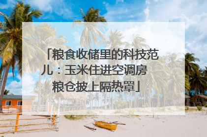 粮食收储里的科技范儿：玉米住进空调房 粮仓披上隔热罩