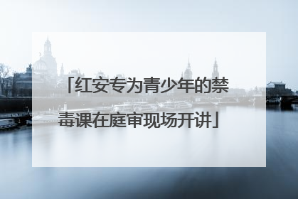 红安专为青少年的禁毒课在庭审现场开讲