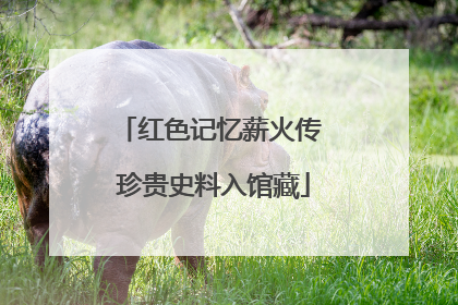 红色记忆薪火传 珍贵史料入馆藏