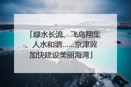 绿水长流、飞鸟翔集、人水和谐……京津冀加快建设美丽海湾