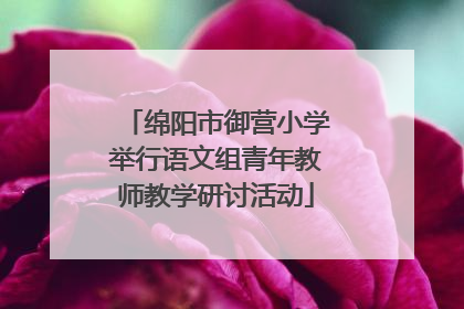 绵阳市御营小学举行语文组青年教师教学研讨活动