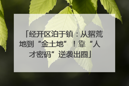 经开区泊于镇：从撂荒地到“金土地”！靠“人才密码”逆袭出圈