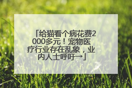 给猫看个病花费2000多元！宠物医疗行业存在乱象，业内人士呼吁→