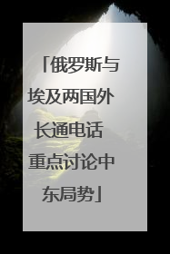 俄罗斯与埃及两国外长通电话 重点讨论中东局势
