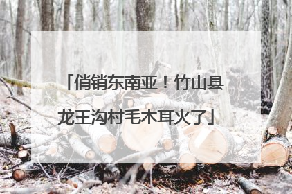 俏销东南亚！竹山县龙王沟村毛木耳火了