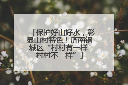 保护好山好水，彰显山村特色！济南钢城区“村村有一样 村村不一样”