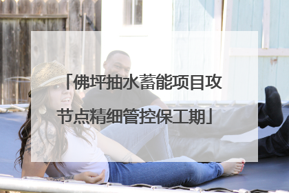 佛坪抽水蓄能项目攻节点精细管控保工期