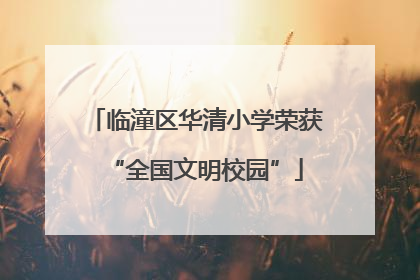 临潼区华清小学荣获“全国文明校园”