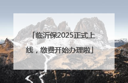 临沂保2025正式上线，缴费开始办理啦