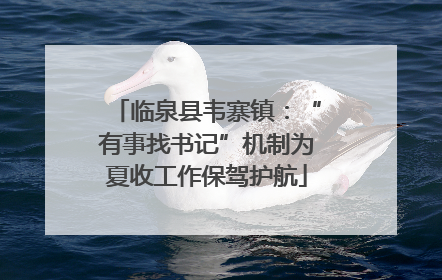 临泉县韦寨镇：“有事找书记”机制为夏收工作保驾护航