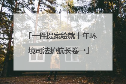 一件提案绘就十年环境司法护航长卷→