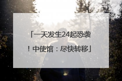 一天发生24起恐袭！中使馆：尽快转移
