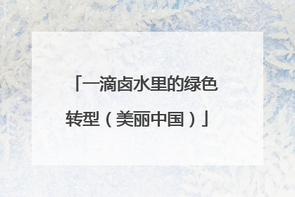 一滴卤水里的绿色转型（美丽中国）