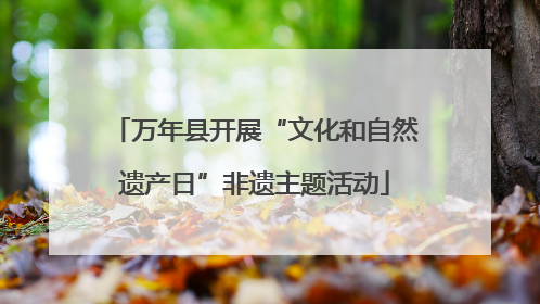 万年县开展“文化和自然遗产日”非遗主题活动
