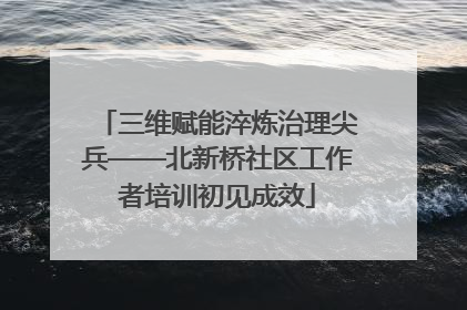 三维赋能淬炼治理尖兵——北新桥社区工作者培训初见成效