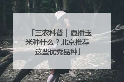 三农科普｜夏播玉米种什么？北京推荐这些优秀品种