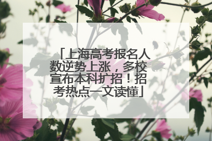 上海高考报名人数逆势上涨，多校宣布本科扩招！招考热点一文读懂