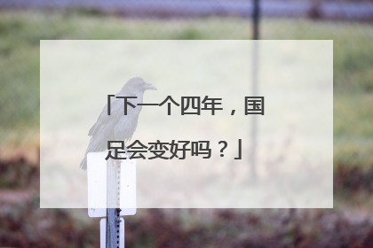 下一个四年，国足会变好吗？