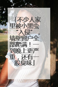 不少人家里被小黑虫“入侵”，墙壁窗户全部爬满！一到晚上更严重，还有一股臭味