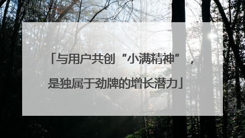 与用户共创“小满精神”，是独属于劲牌的增长潜力