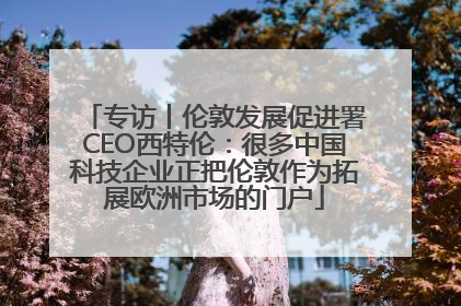 专访丨伦敦发展促进署CEO西特伦：很多中国科技企业正把伦敦作为拓展欧洲市场的门户