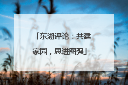 东湖评论：共建家园，思进图强
