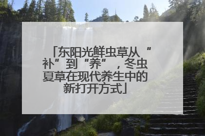 东阳光鲜虫草从“补”到“养”，冬虫夏草在现代养生中的新打开方式