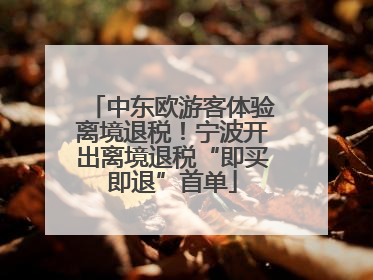 中东欧游客体验离境退税！宁波开出离境退税“即买即退”首单