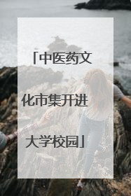 中医药文化市集开进大学校园