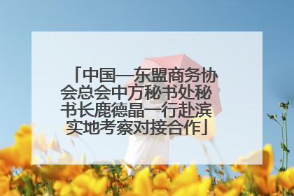 中国—东盟商务协会总会中方秘书处秘书长鹿德晶一行赴滨实地考察对接合作