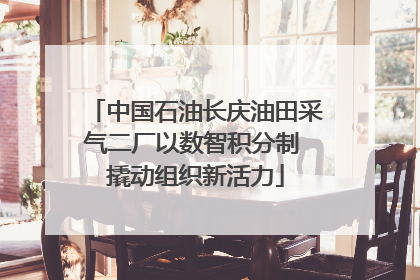中国石油长庆油田采气二厂以数智积分制 撬动组织新活力