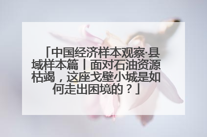 中国经济样本观察·县域样本篇丨面对石油资源枯竭，这座戈壁小城是如何走出困境的？