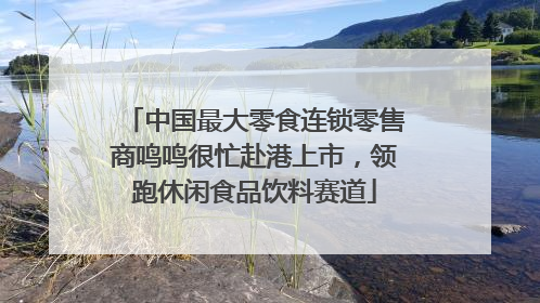 中国最大零食连锁零售商鸣鸣很忙赴港上市，领跑休闲食品饮料赛道