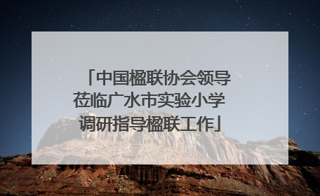 中国楹联协会领导莅临广水市实验小学调研指导楹联工作