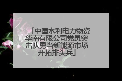 中国水利电力物资华南有限公司党员突击队勇当新能源市场开拓排头兵