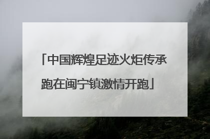 中国辉煌足迹火炬传承跑在闽宁镇激情开跑