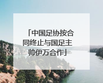 中国足协按合同终止与国足主帅伊万合作