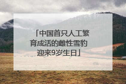中国首只人工繁育成活的雌性雪豹迎来9岁生日