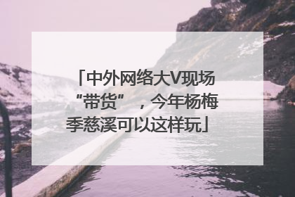 中外网络大V现场“带货”，今年杨梅季慈溪可以这样玩
