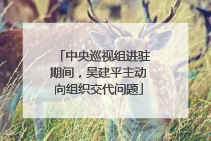 中央巡视组进驻期间，吴建平主动向组织交代问题